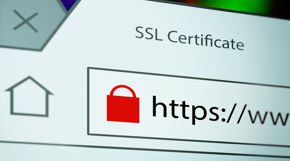 SSL Certificates: practice safe websiting!