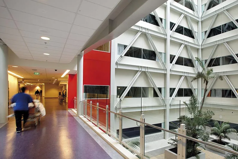 ADHB (NZREX Programme)